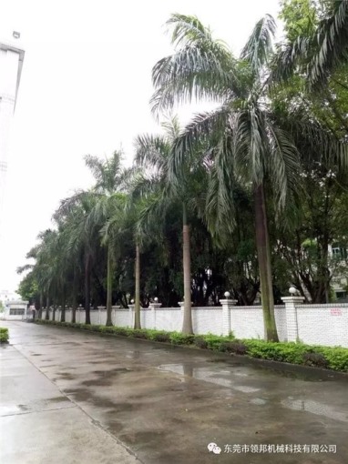 �Ƭĥ�X�C��˾��Ժһ��